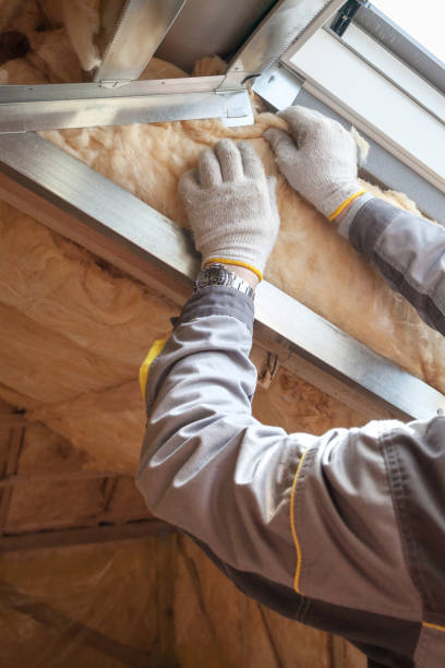 Professional Insulation Contractor in Zeigler, IL